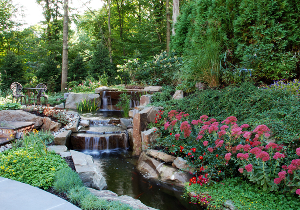 NJ Planting Design Ideas for Formal &amp; Natural Landscapes